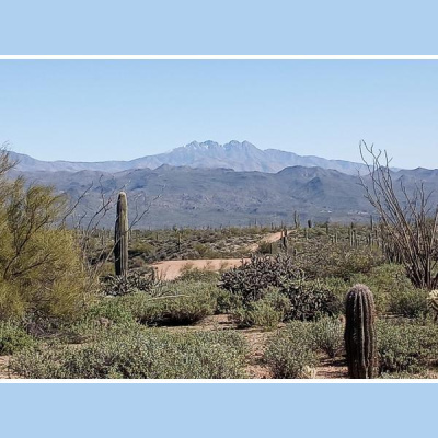 Ihs Together Eca International