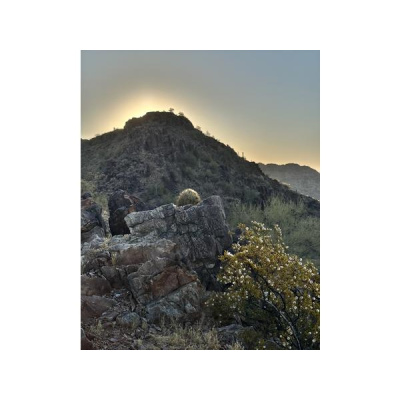 Ihs Together Eca International