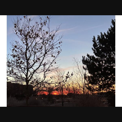 Ihs Together Eca International