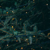 Christmas: The Fullness of Time