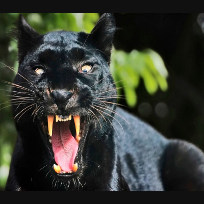 Real Paranormal Activity - The Podcast