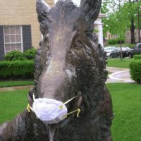 Periodic Apocalypse #1: Swine Flu