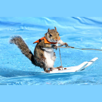 Ep. 2 – Water Seeing Squirrels