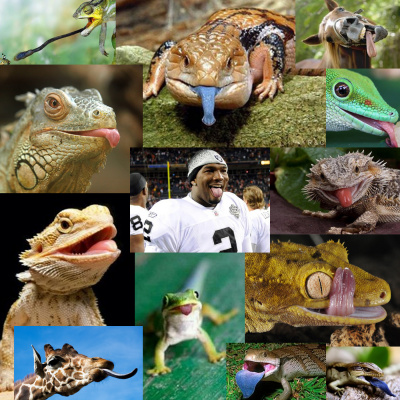 That One Sports Show