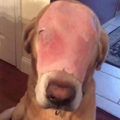 That One Sports Show