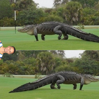 That One Sports Show