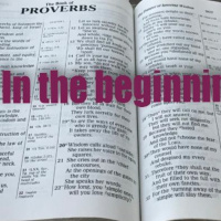 IN THE BEGINNING 3 OF 12