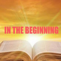 IN THE BEGINNING 8 OF 12