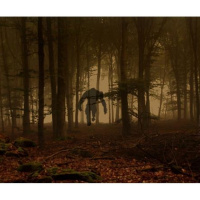 Talk Bigfoot episode 7