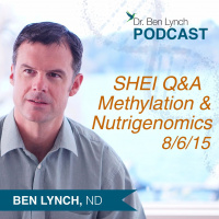 SHEI Q  A on Methylation  Nutrigenomics 8/6/15