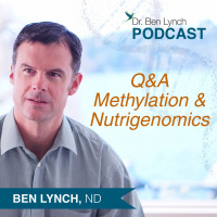 Q  A Methylation  Nutrigenomics