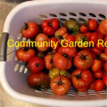 Community Garden Revolution