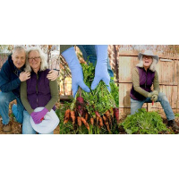 FOXGLOVES at www.foxglovesinc.com Free Shipping Code: FreeEA