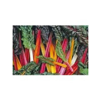 Food Hubs and Community Gardens go Together! Financing Available for Food Hubs!