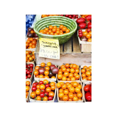 Community Garden Revolution