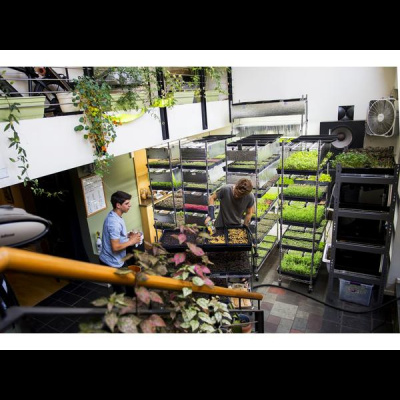 Community Garden Revolution