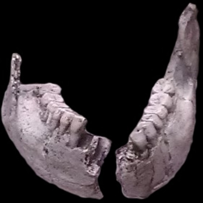 Reframed Origins - Season 1