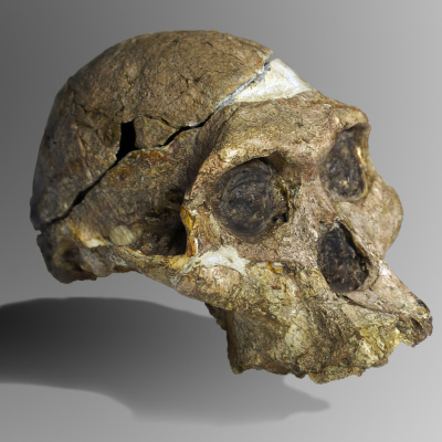 Reframed Origins - Season 1