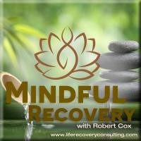 Mindful Recovery - The Journey Continues