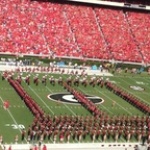 Between The Hedges