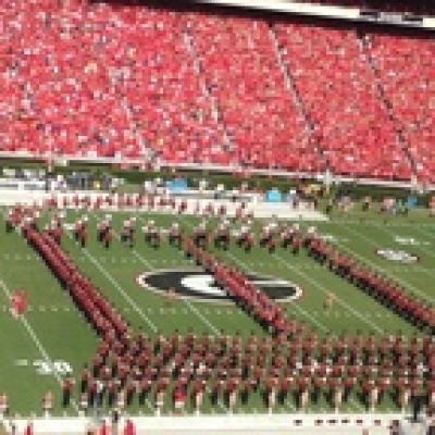 Between The Hedges