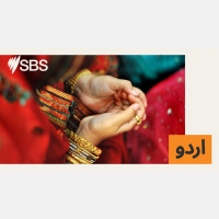 مختصر خبریں : بدھ 26 نومبر 2025