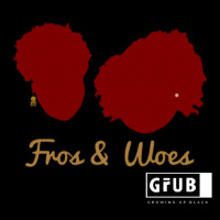 Fros and Woes: From Idea to Reality