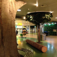 Birdsong in Schipol Airport