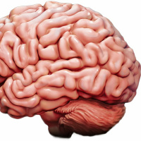 Episode 182 - Mental Health First