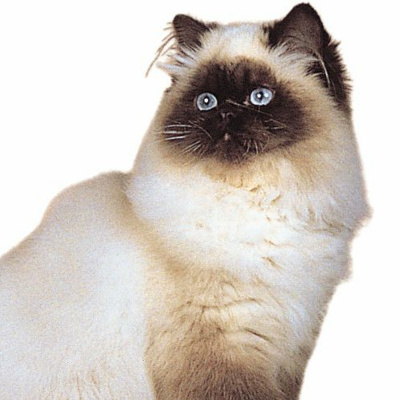 Game Time With Manny