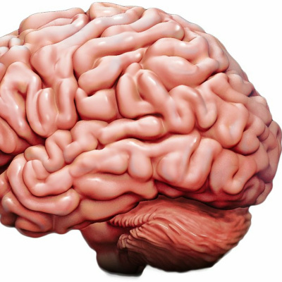 Game Time With Manny