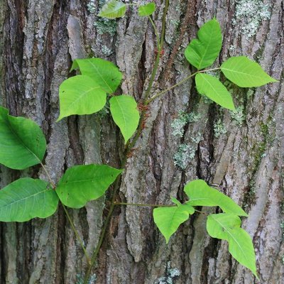 Game Time With Manny