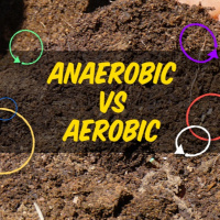 Episode 116 | The Anaerobic Vs Aerobic Controversy