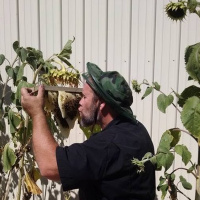 Episode 44 Michael Jordan Talks Bees, Teaching Kids, Trapping Swarms  More