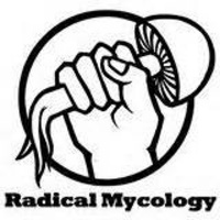 Episode 15 - Peter McCoy of Radical Mycology on the history of Fungi, Magic  his new book