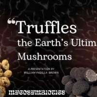 Truffles: the Earths Ultimate Mushrooms with William Padilla Brown | R-Future 2024 REWIND