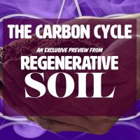 A New Look at the Carbon Cycle  Climate with Matt Powers - Regenerative Soil - EXCLUSIVE PREVIEW