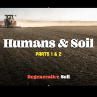 Humans  Soil Pt 1  2 | a Regenerative Soil Excerpt