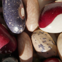 Think Gardening Is Expensive?