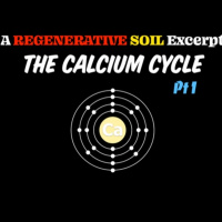 Ep. 177 | Calcium Cycle | Regenerative Soil With Matt Powers