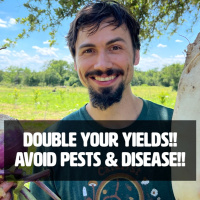 Doubling Your Yields!! Avoid Pests  Disease [FULL WEBINAR]