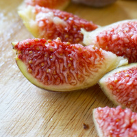 Permaculture = Freedom