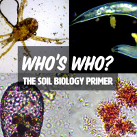 Ep. 182 | Whos Who? The Soil  Compost Biology Primer OPENING