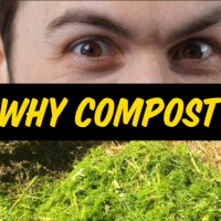 Why Compost? Is It That Important?