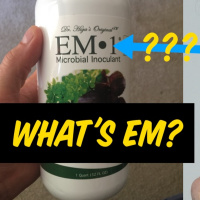 What Is EM? with Matt Powers