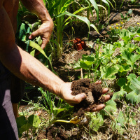 Episode 68 Simple Soil Solutions With Matt Powers
