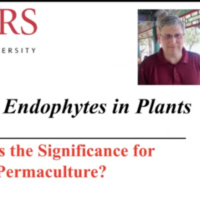 Microbial Endophytes in Plants: What is the Significance for Permaculture? Dr. James F. White