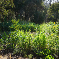 Are You Listening To Your Gophers?