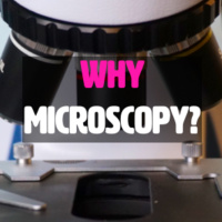 Why Microscopy with Matt Powers