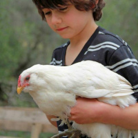 Episode 24 How to Fix California with Permaculture - Matt Powers at the Petaluma Seed Bank